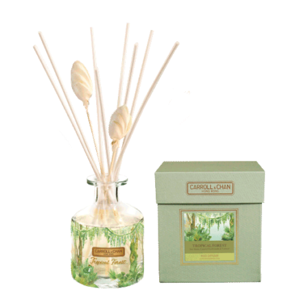 Tropical Forest Diffuser