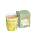 Ginger Lily Scented candle