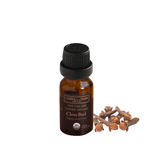 Clove Bud Organic Essential Oil