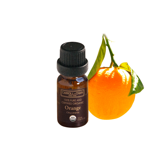 orange USDA Organic Essential Oil