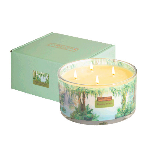 Tropical Forest Large Jar Candle