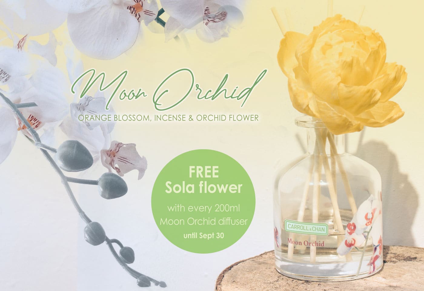 Moon Orchid Diffuser Offer